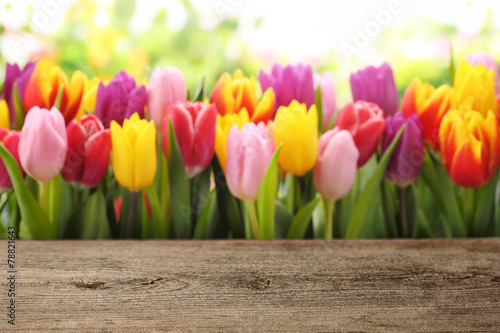 Tulips