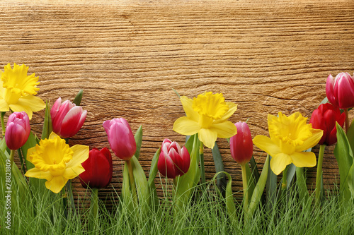 Fototapeta na wymiar Flower with grass on wood background