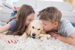 © WavebreakMediaMicro - Siblings kissing puppy on rug