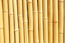 Real Bamboo Background Texture