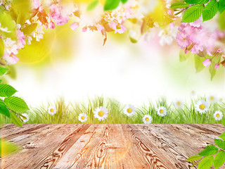 Beautiful spring background