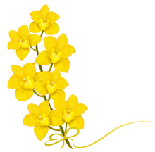 Holiday Yellow Flowers Background. Vector.
