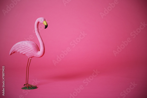 Pink flamingo in studio Canvas Print