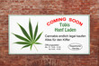 Cannabis Kampagne / Legalisierung / legal kiffen