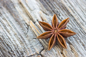 Wall Mural - Star Anise