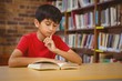 © WavebreakMediaMicro - Cute boy reading book in library