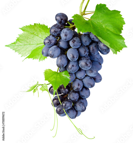 Fotografía Fresh bunch of grapes with leaves isolated on a white background