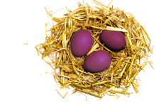 Purple Eggs In A Easter Nest Of Straw Isolated On White Backgrou