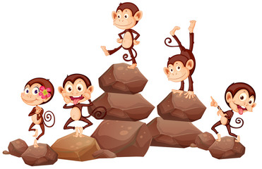 Wall Mural - Monkeys and rocks