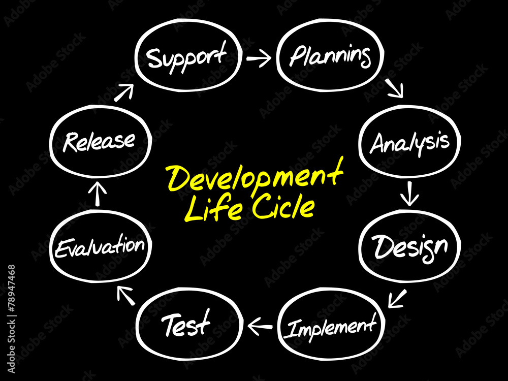 Circular flow chart of life cycle development process Stock Vector ...