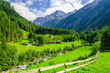 © A.Jedynak - Beautiful alpine landscape with green meadows, Alps, Austria