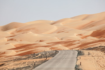 Wall Mural - Road through the desert in Liwa Oasis area, UAE