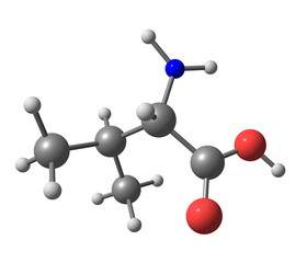 Poster - Valine molecule isolated on white