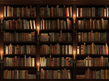Bookshelf. Seamless Texture (vertically And Horizontally)