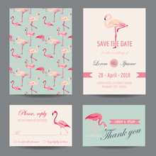 Invitation-Congratulation Card Set - Flamingo Theme - In Vector