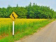 Yellow Winding Road Sign