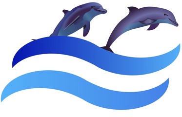 Two dolphins jumping from water