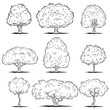 Set of deciduous trees. Line art