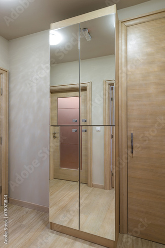 Modern Interior With Bright Wooden Wardrobe With Mirror