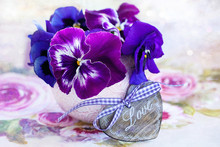 Photo Of A Beautiful Purple Pansy Flowers And  Wooden Heart.