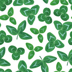 Poster - Clovers leaves set seamless pattern