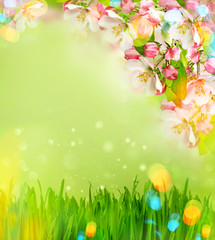 Canvas Print - apple tree blossoming and green grass with light leaks