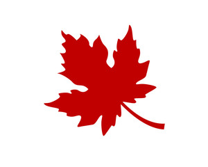 maple 3
