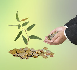 Investing to green business