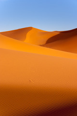  Sand Dunes in the Sahara Desert in Morocco