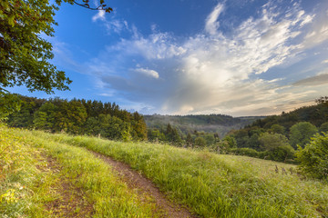 Wall Mural - Early morning in the German hills