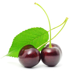 Wall Mural - Sweet Cherry