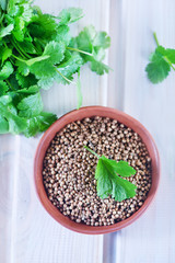 Canvas Print - coriander