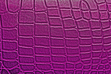 Violet Alligator Patterned Background