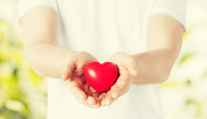 Canvas Print - man hands with heart