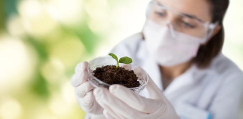 close up of scientist with plant and soil