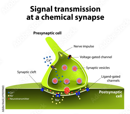 Chemical synapse - Buy this stock vector and explore similar vectors at ...