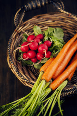 Poster - Fresh carrots and radish in the basket. Selective focus. Shallow