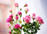Fototapeta Tulipany - Beautiful pink roses on bright background