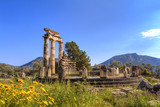 Fototapeta  - The Temple of Apollo,Delphi,Greece