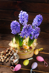 easter decoration with fresh hyacinth flowers on wooden backgrou