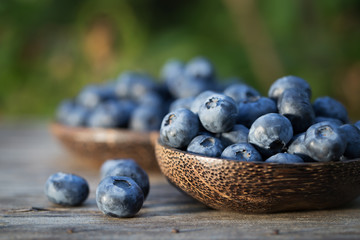 Blueberries in garden