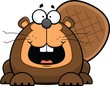 Cartoon Beaver Happy