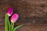 Fototapeta Tulipany - tlips on wooden background