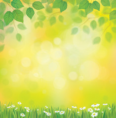 Wall Mural - vector sunshine background with chamomile and dandelion.