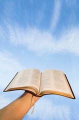 Wall Mural - Man praying with his bible