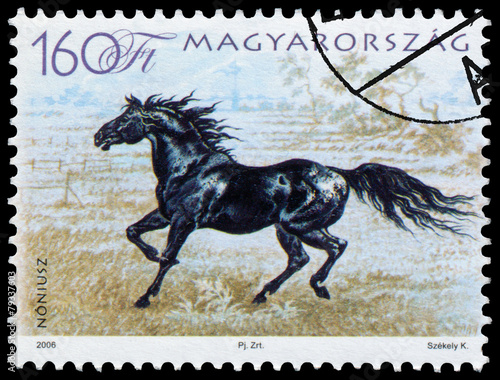 stamp printed in Hungary shows hungarian horse Poster
