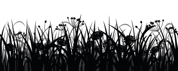 Seamless herbs and flowers silhouette, vector illustration