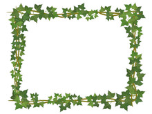 Free Printable Ivy Border