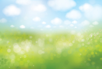 Wall Mural - vector spring bokeh background, green field and blue sky.
