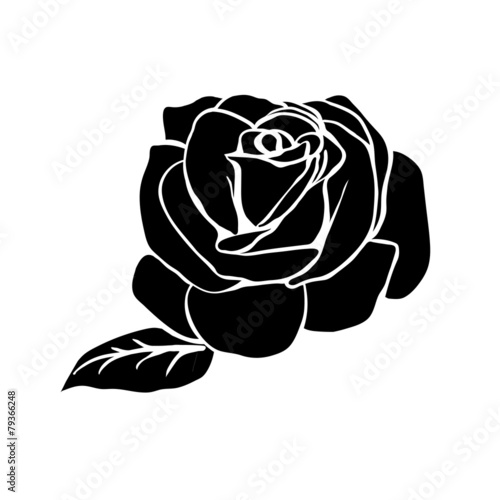 Naklejka - mata magnetyczna na lodówkę silhouette of rose